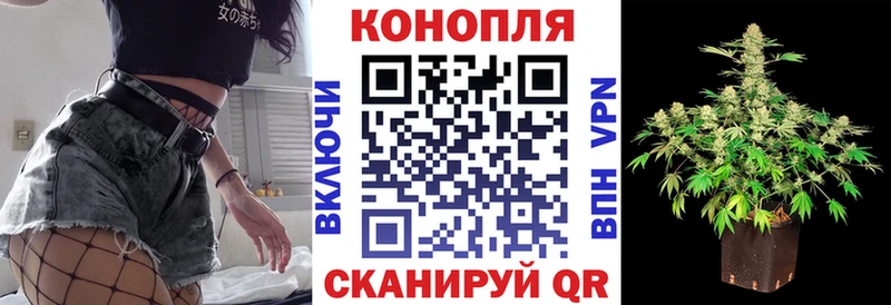 Купить где  Сибай  Канабис Ganja 